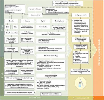 Metazoan Parasite Vaccines: Present Status and Future Prospects